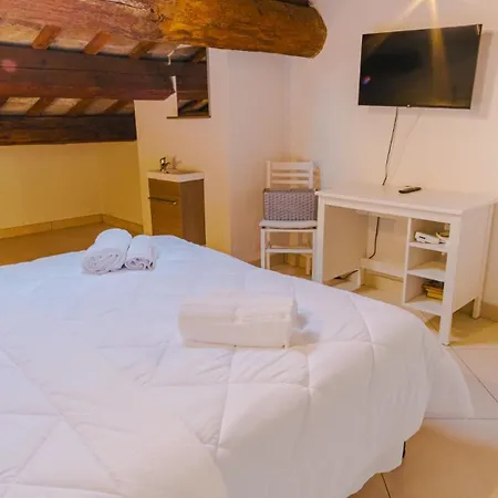 Domus Dantis - Italian Homing *